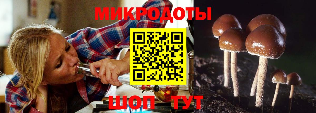 Галлюциногенные грибы GOLDEN TEACHER Южноуральск